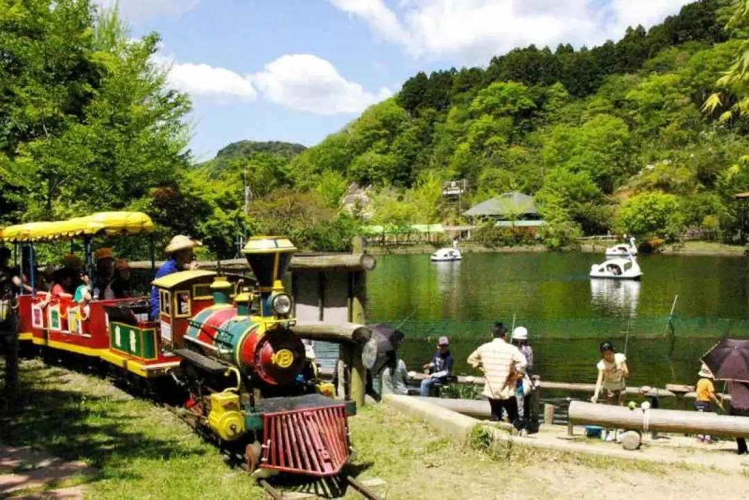 ロマンの森共和国 入園チケット（千葉）