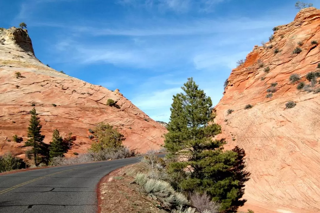 Zion National Park Day Tour from Las Vegas