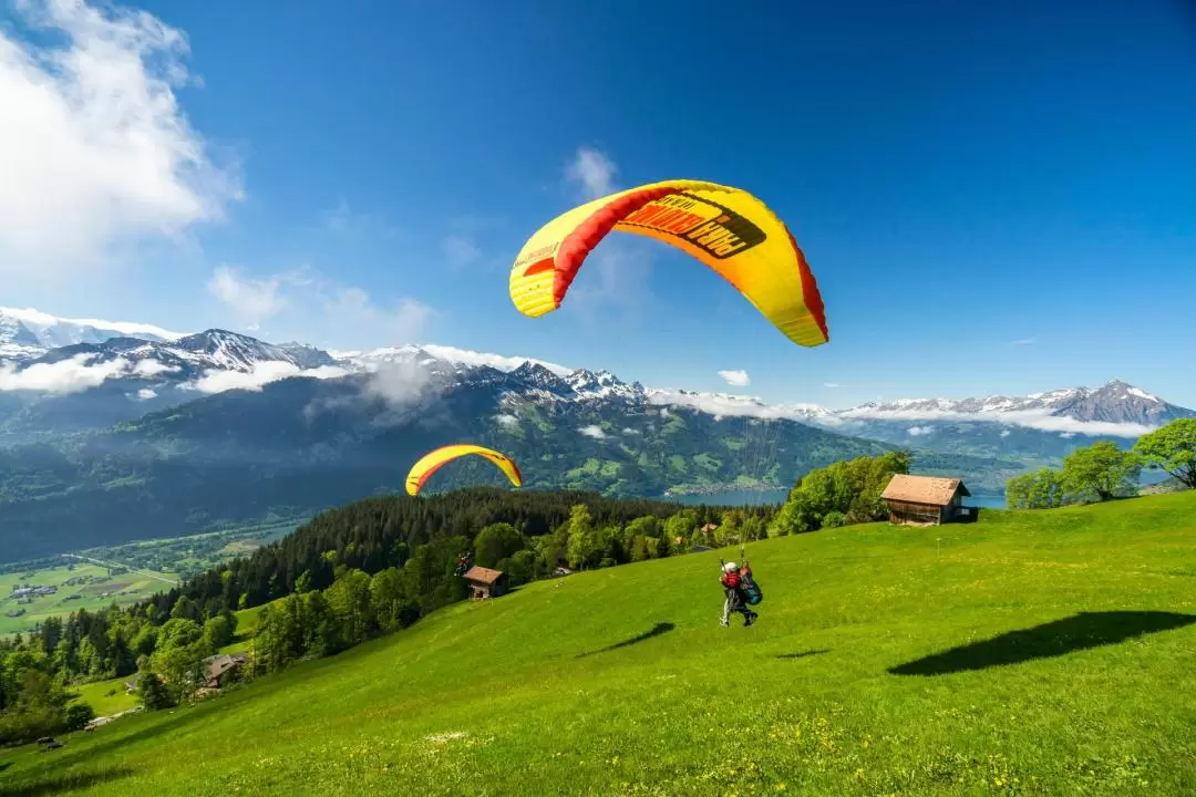 The Big Blue Tandem Paragliding Experience in Interlaken