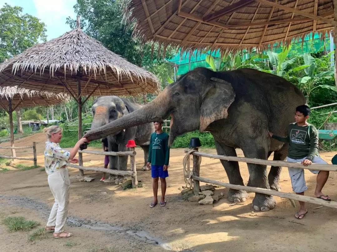 Phuket Elephant Care Sanctuary