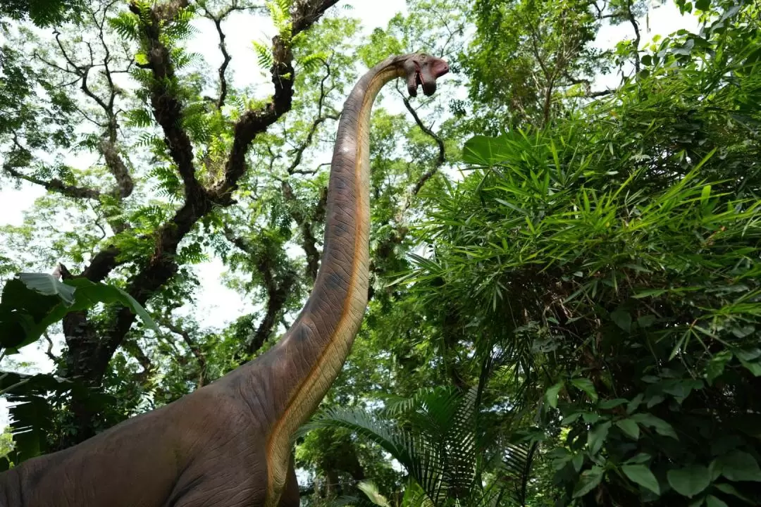 クラーク・ダイナソーアイランド 入園チケット