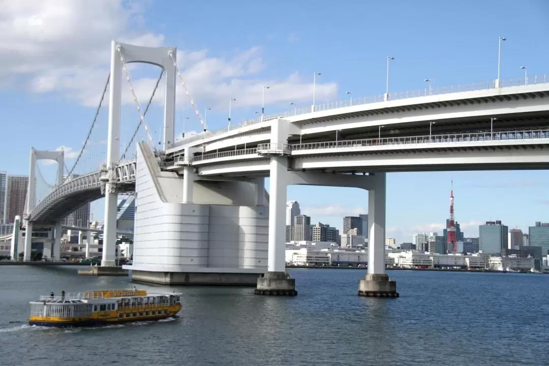 Tokyo City Half Day Customized Private Car Tour 
