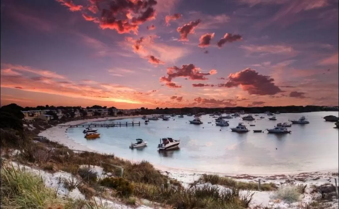 Rottnest Island Ferry, Bike, Snorkel Trip from Fremantle or Perth