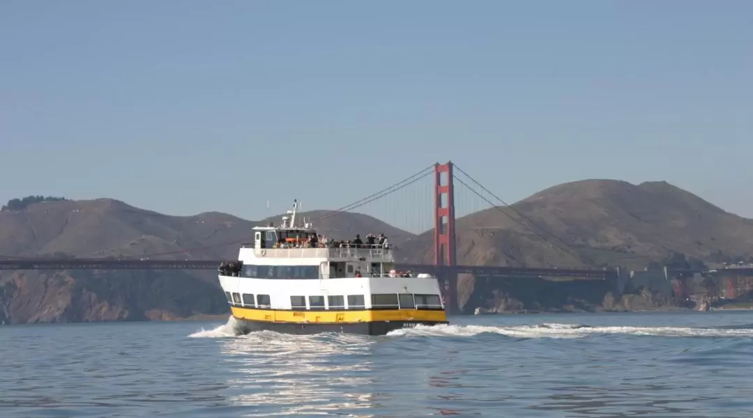 San Francisco Bay Cruise Adventure