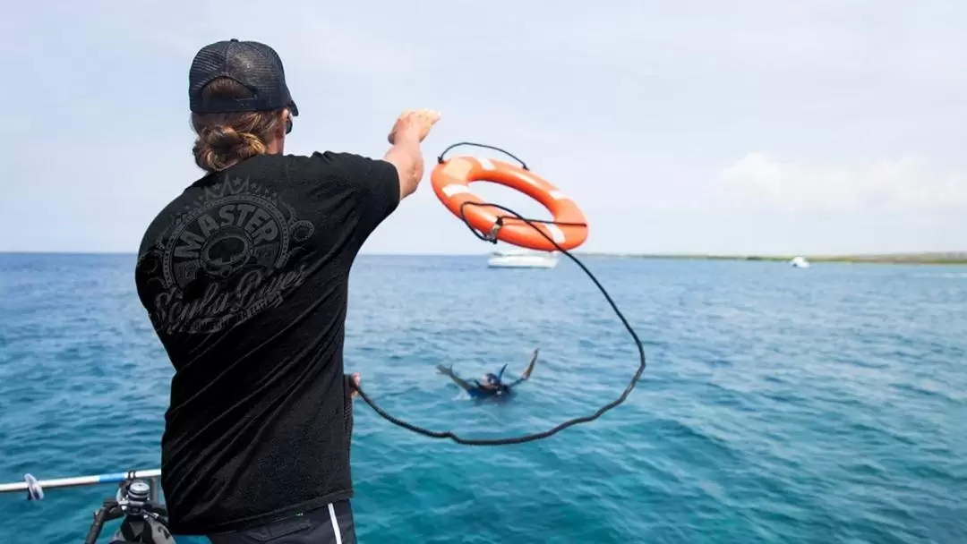 Open Water Diver Course in Lembongan with 5 star PADI Dive Center 