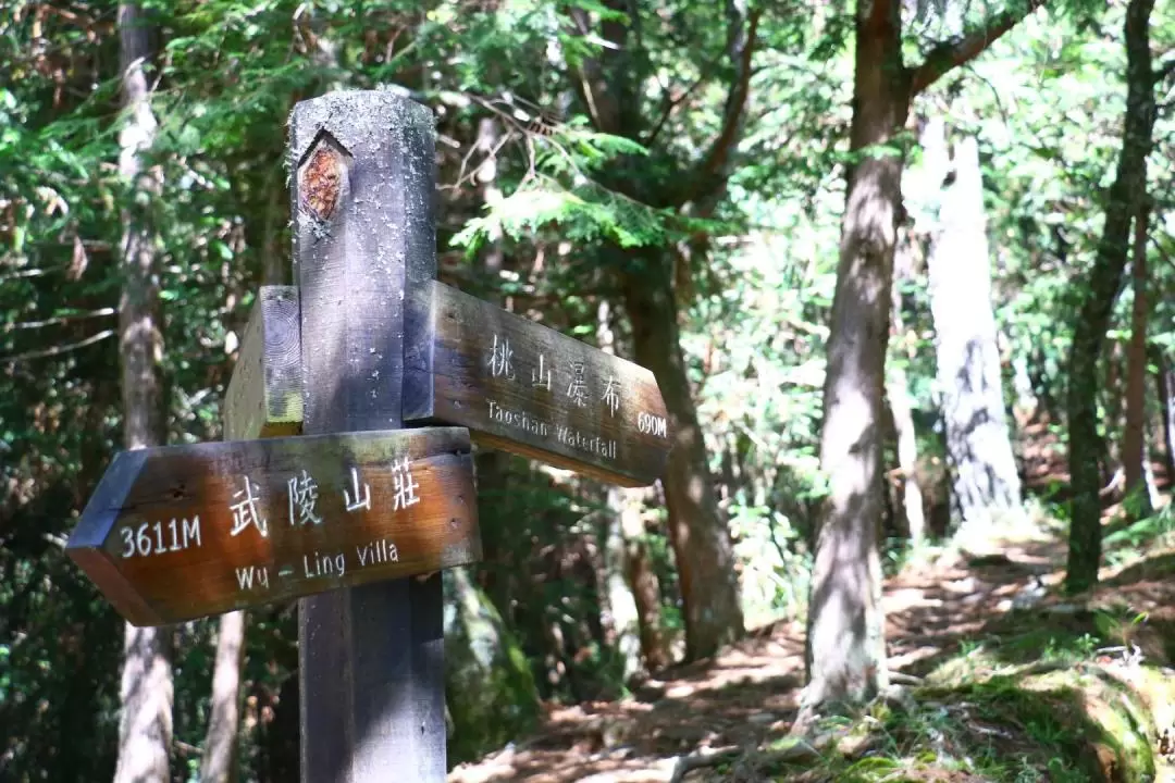 3泊4日 武陵四秀登山道 ハイキング体験（宜蘭）