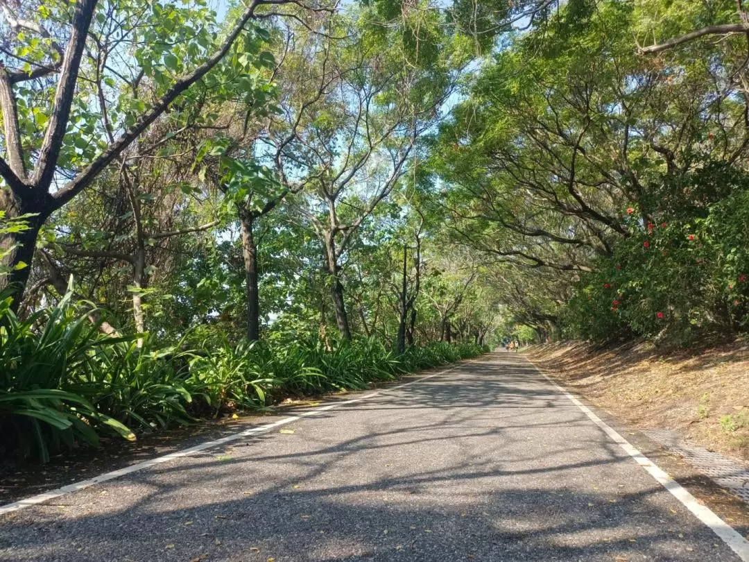 花蓮: 花蓮濱海自行車體驗 - 鳥踏石公園&曙光橋&北濱公園&海祭場SUP