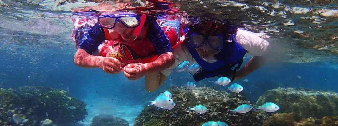 Premium Snorkeling Experience in Guam