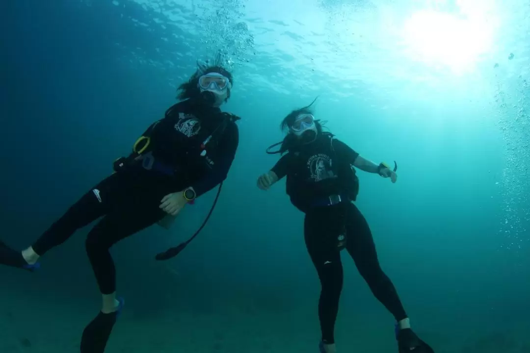 普吉島Freedive Aida潛水體驗（Fossette提供）