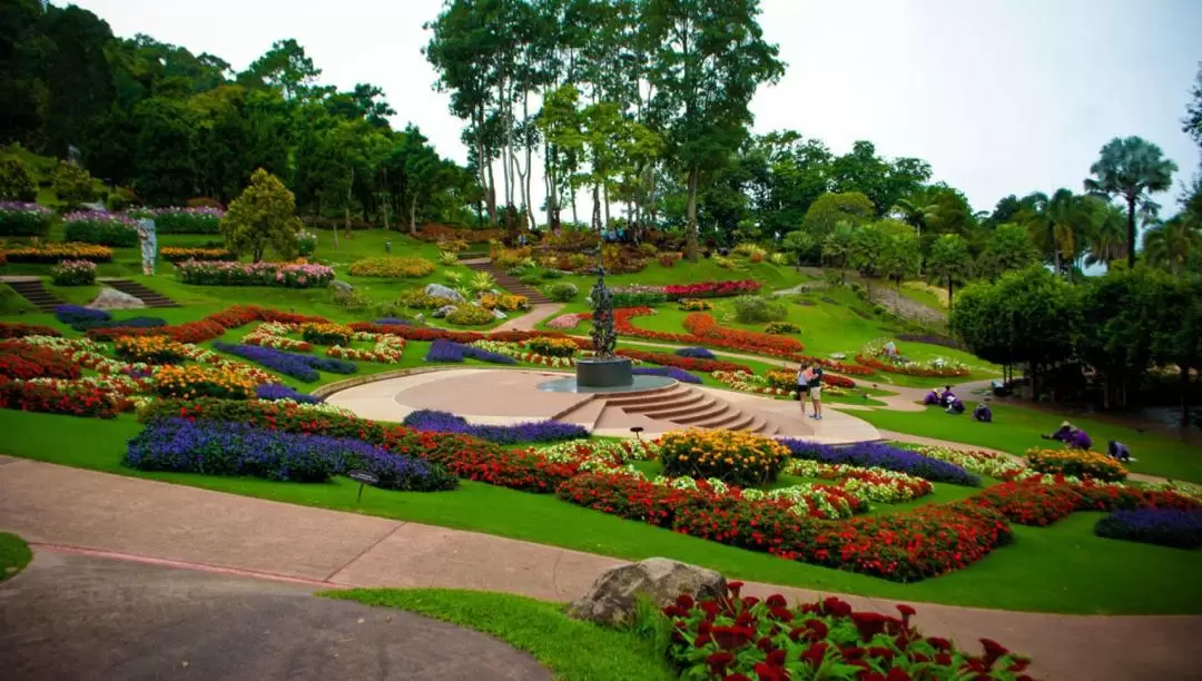 Wat Phra That Doi Tung and Doi Tung Royal Villa Half Day Tour from Chiang Rai