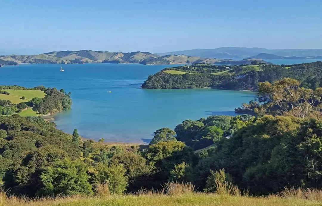 4D3N Waiheke Private Guided Backyard Break