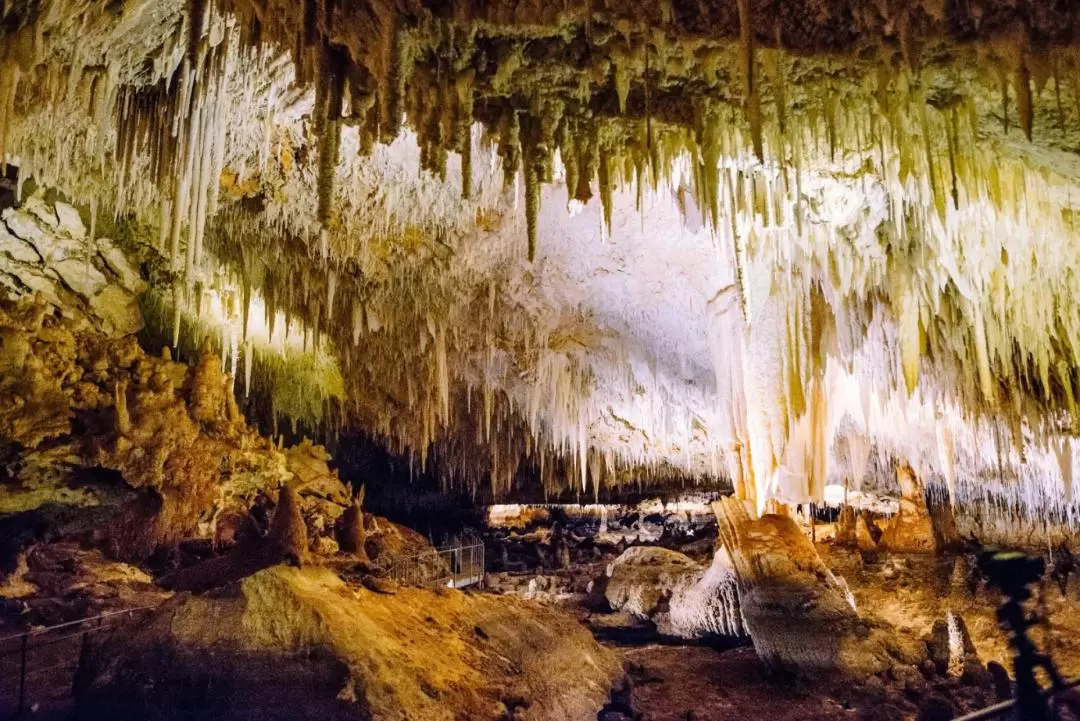 Jewel Cave Tour in Margaret River