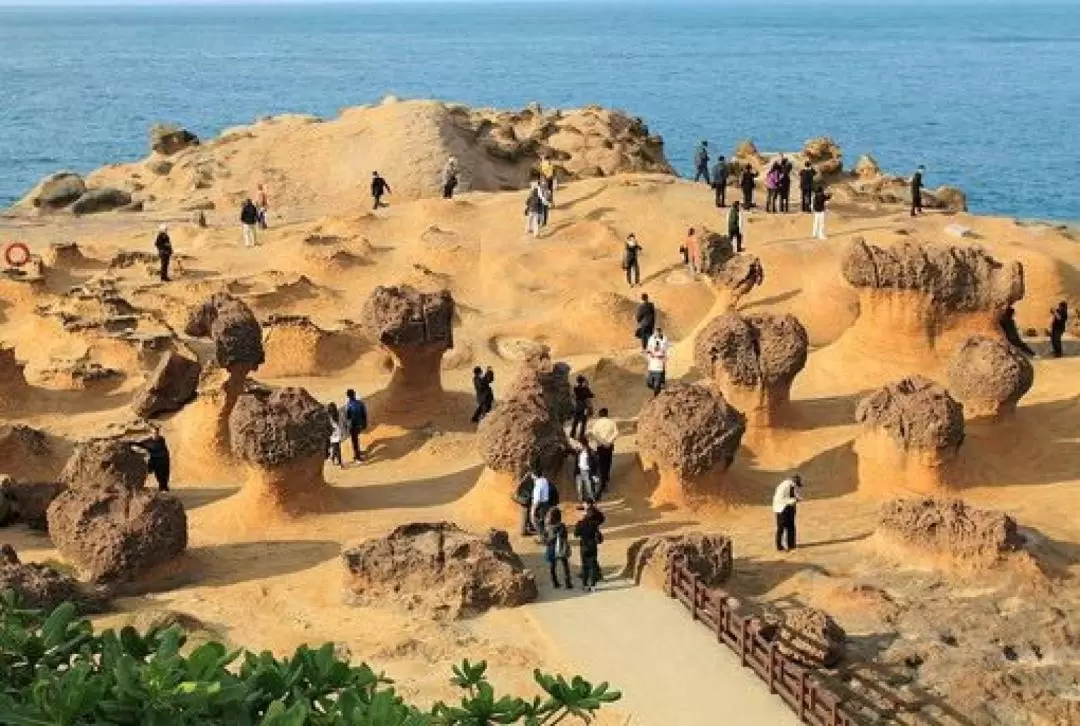 野柳・金瓜石・九份・十份 日帰りツアー（台北発）