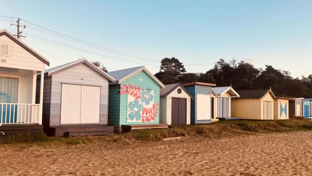 Ultimate Peninsula Hot Springs Day Tour, Including Brighton Beach Boxes. 