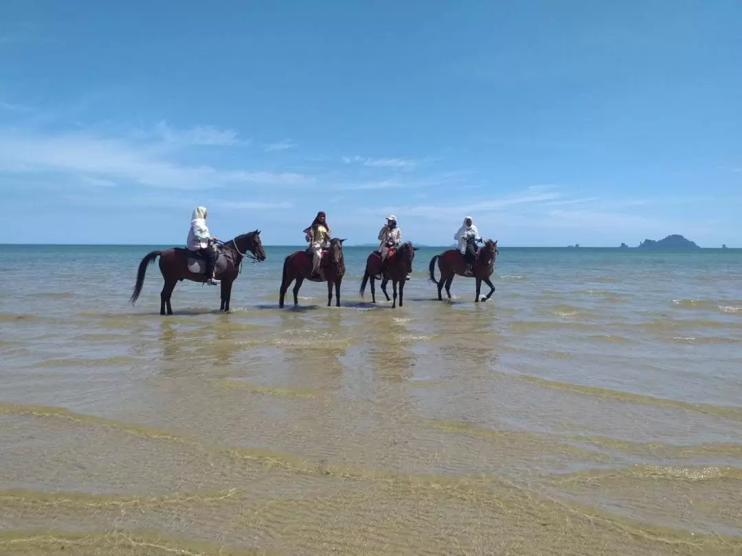 甲米海灘騎馬體驗