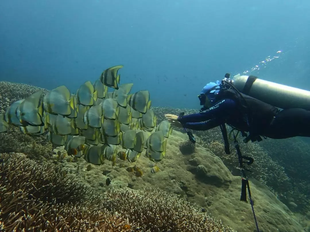 巴厘島東部水肺潛水體驗（Bali Aqua Dive Center提供）