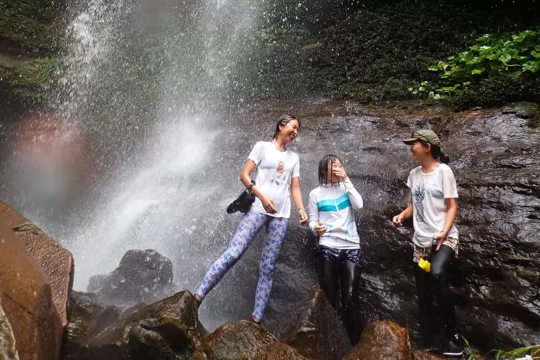 Mangrove Kayaking and Trekking with Outdoor Cooking in Iriomote Island