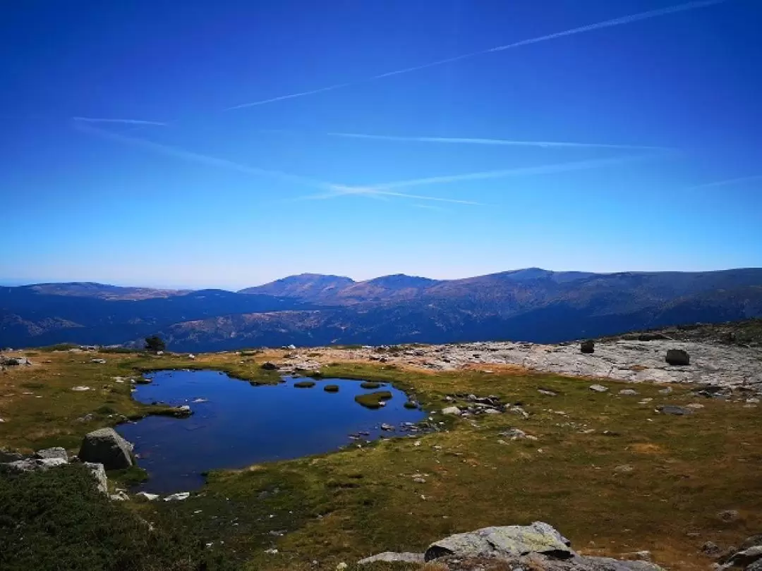 Guadarrama National Park Day Tour in Madrid