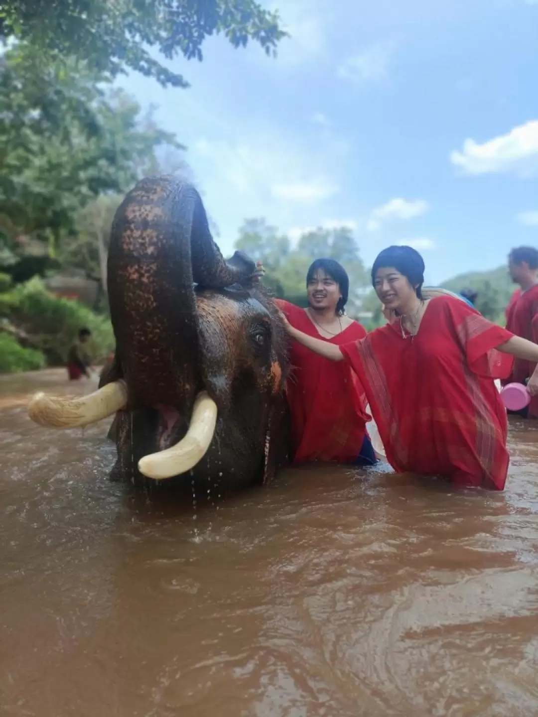 Elephant Day Care at Chiang Mai Mountain Sanctuary