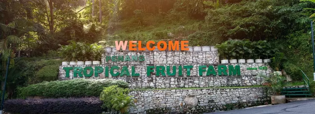 Penang Tropical Fruit Farm Guided Tour