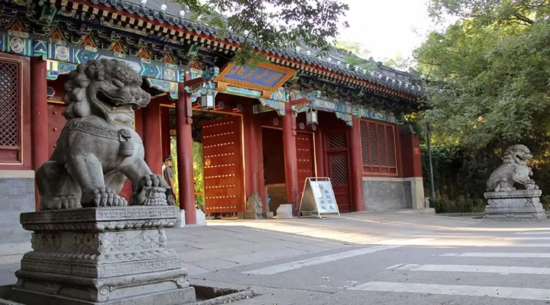 Guided tour of Beijing's historic sites and modern buildings