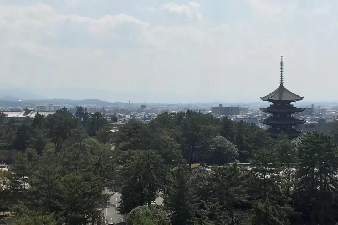 Nara City, Nara Park, Temples & Shrines One Day Tour