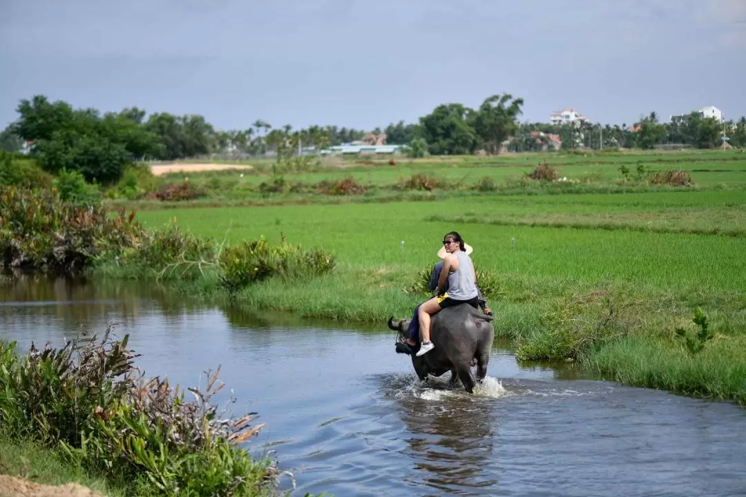 Coconut Forest Tour by Bicycle and Basket Boat in Hoi An