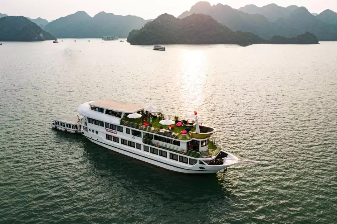 [New Route] 2D1N Lan Ha Bay Cruise by Alova Cruise Boutique