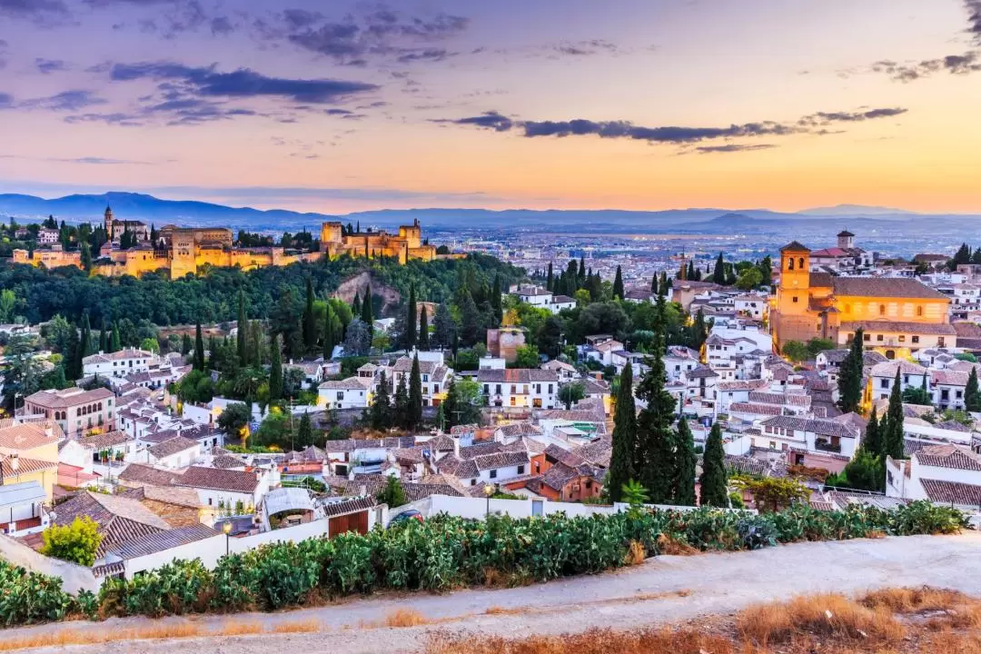 Granada Tour with Alhambra Palace and Generalife Gardens Entrance and Transfers