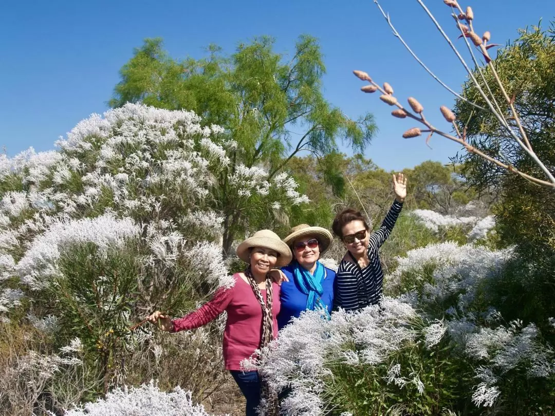 卡爾巴里賞野花之旅