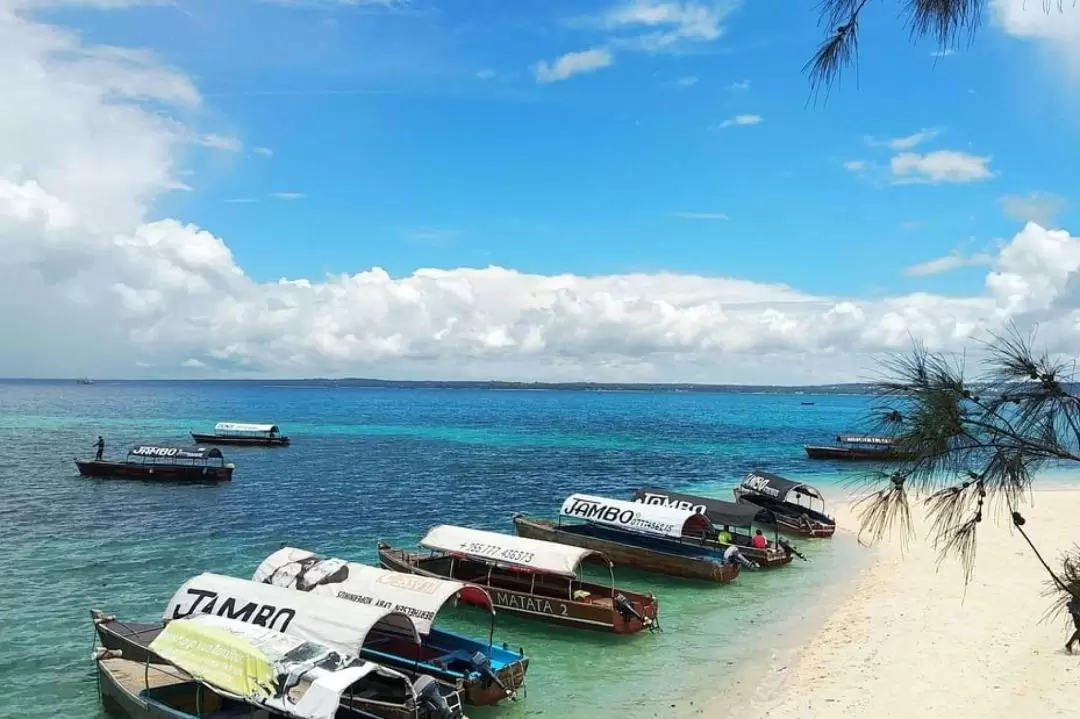 Zanzibar Prison Island Tour With Lunch On The Sandbank