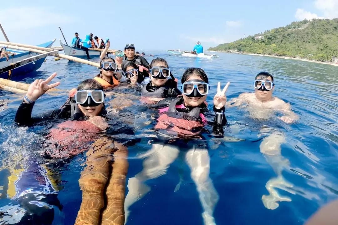 Oslob Whale Shark Encounter Join In Day Tour from Dumaguete