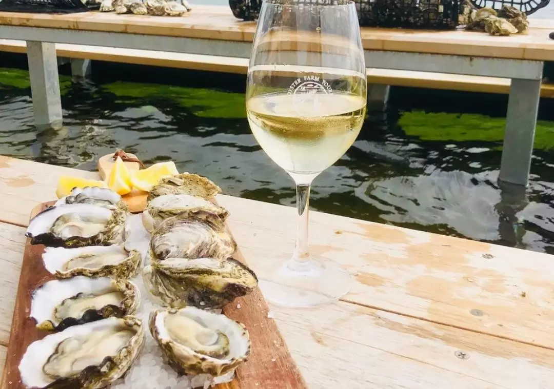 Oyster Farm Tour and Tasting with Guide from Port Lincoln