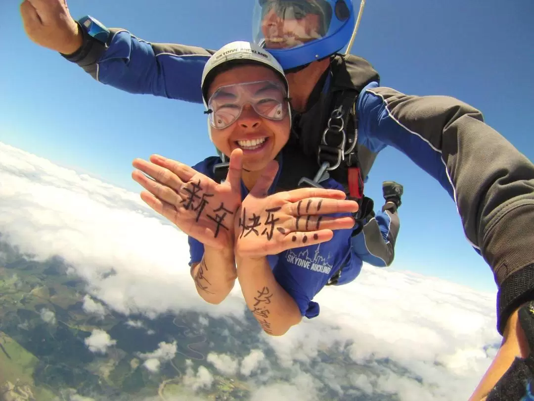 Auckland Tandem Skydive & Gannet Colony Full Day Private Tour