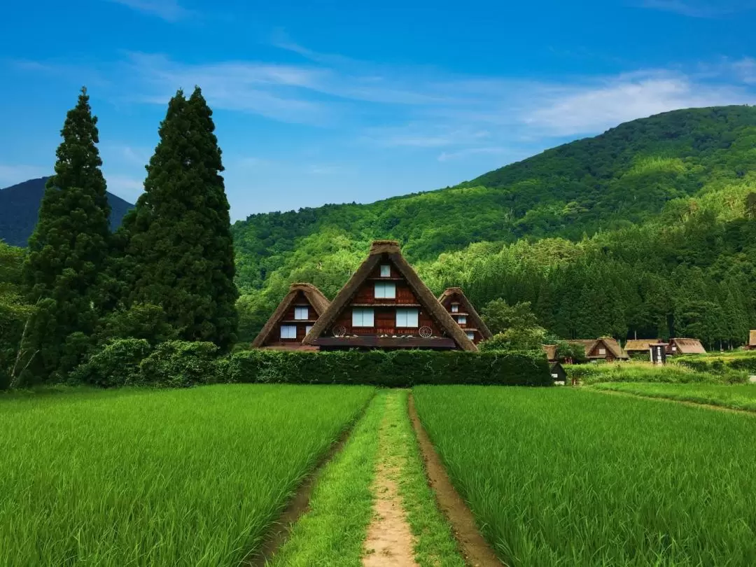 飛騨高山＆［世界遺産］白川郷散策日帰りツアー（名古屋発）