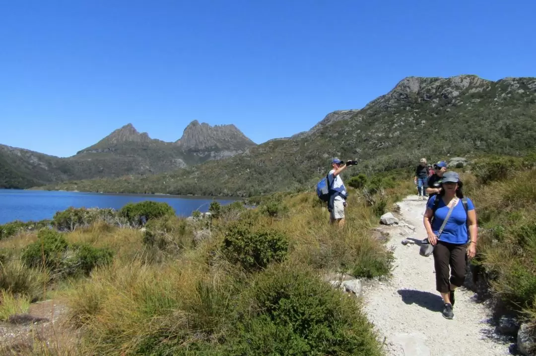 Cradle Mountain World Heritage Explorer Day Trip from Launceston