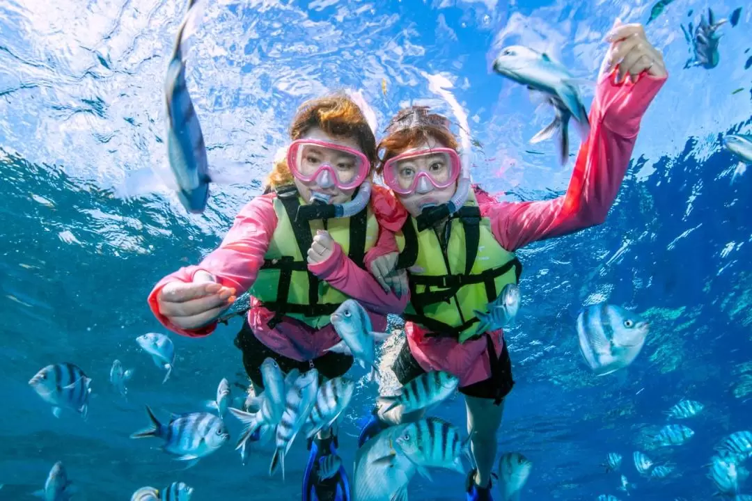 沖繩藍洞潛水／浮潛＆美麗海水族館門票