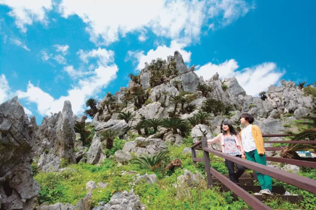 Yambaru National Park Daisekirinzan Ticket in Okinawa