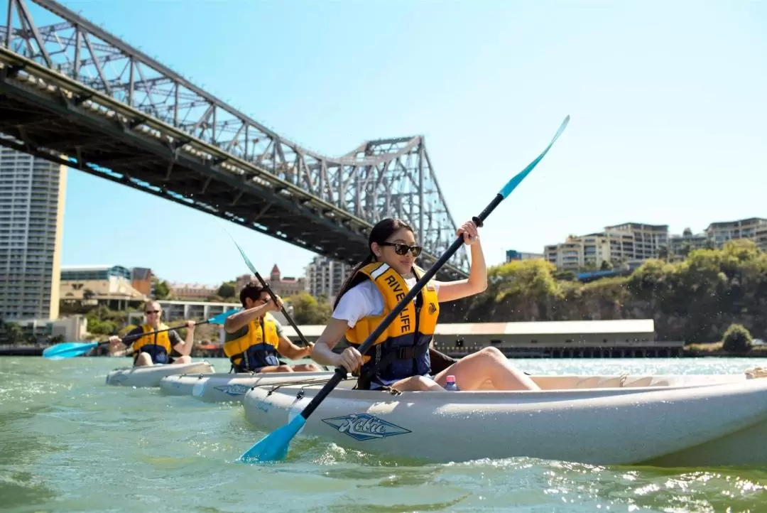 Twilight Kayak Adventure Experience in Brisbane