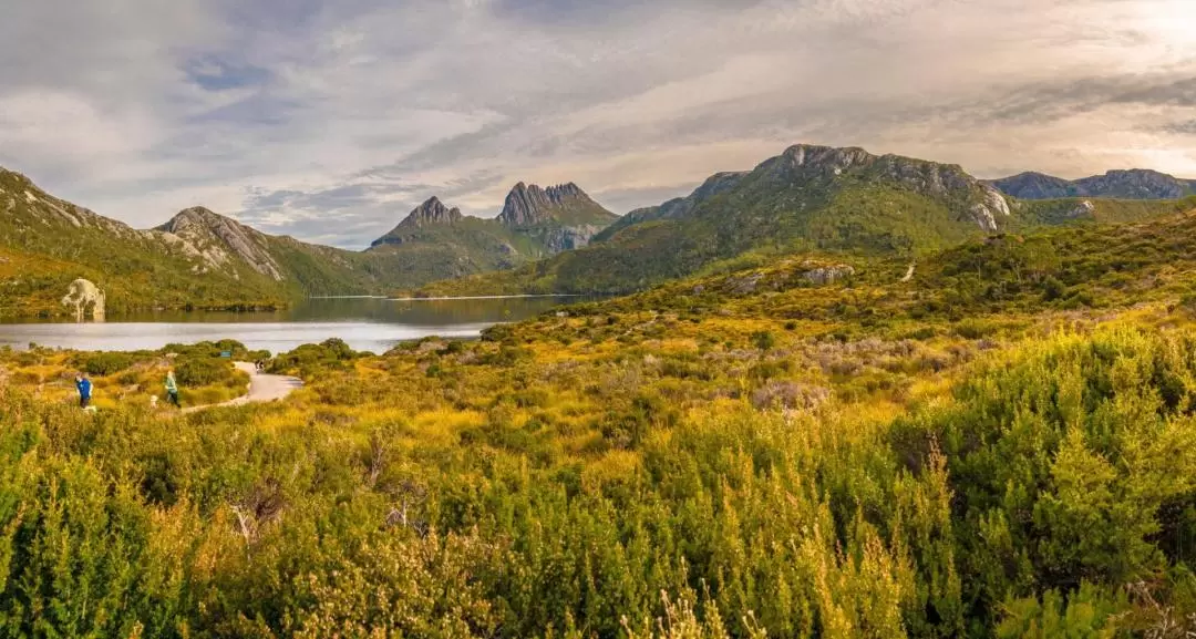 Cradle Mountain National Park Day Tour from Launceston