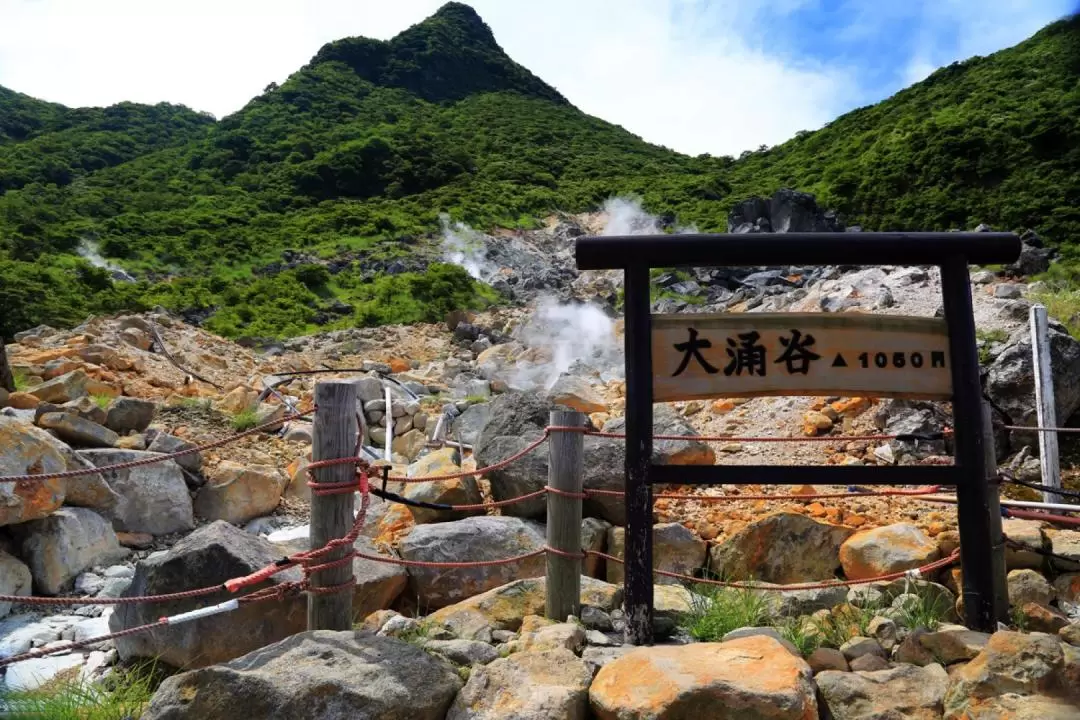 大涌谷・芦ノ湖・箱根神社 日帰りツアー（東京発）