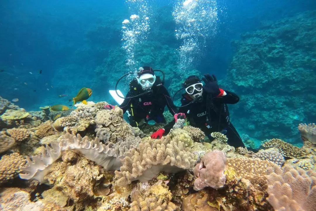 沖繩浮潛 & 潛水體驗