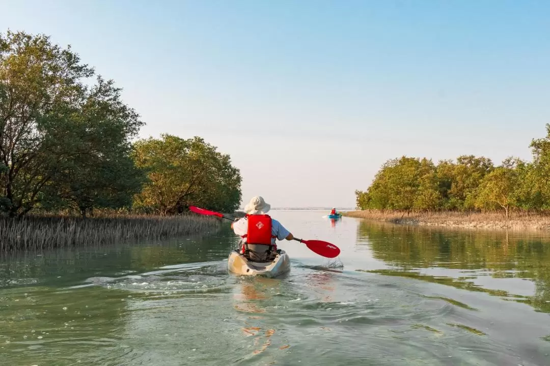 Guided Kayak Tour at Eastern Mangroves in Abu Dhabi