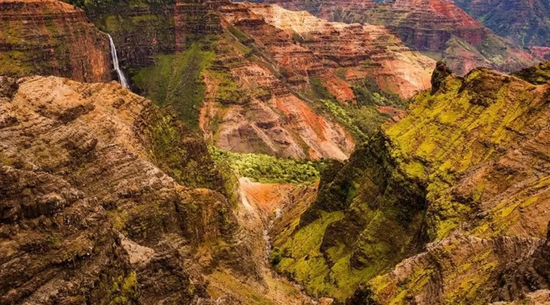 Kauai Waimea Canyon & Koke’e Adventure