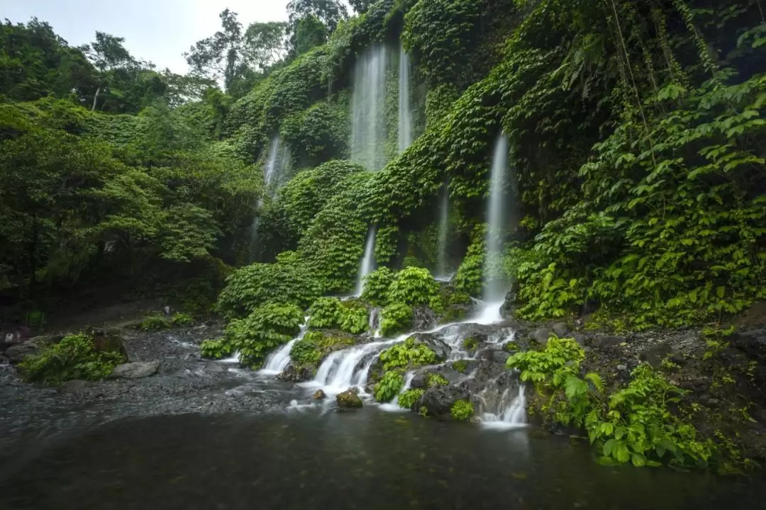 Lombok Waterfalls and Monkey Forest Private Day Tour