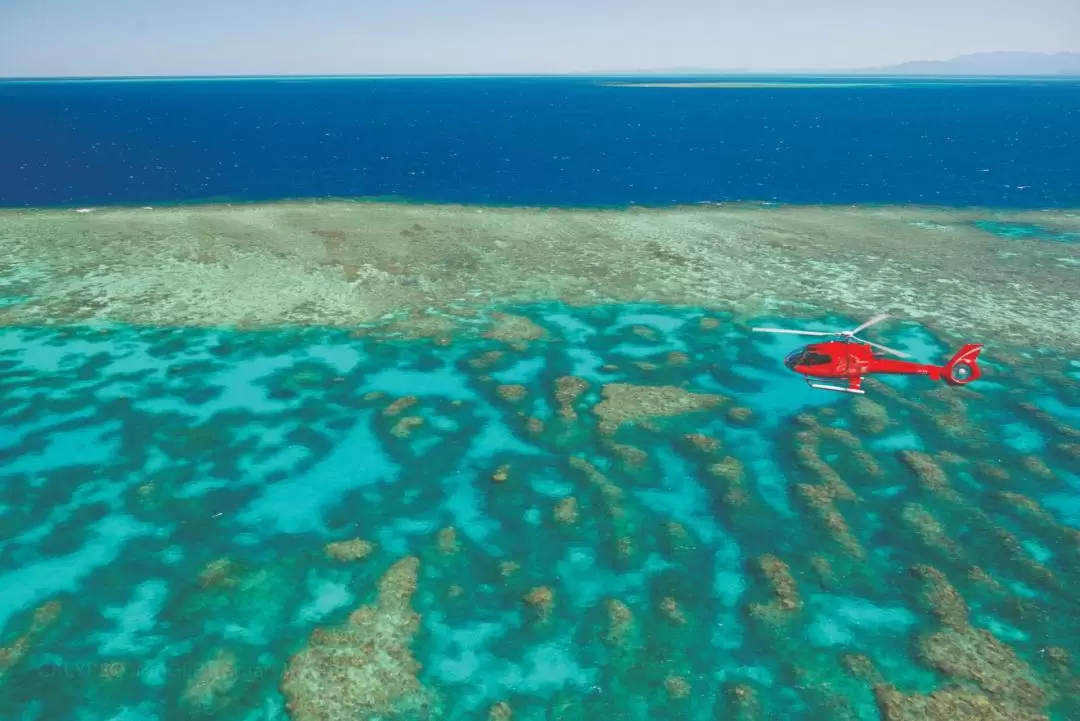 Great Barrier Reef Scenic Flight from Cairns or Port Douglas