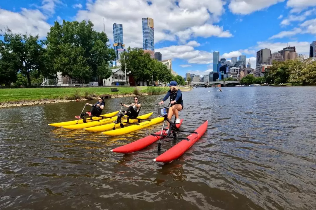 Yarra River Waterbike Experience in Melbourne