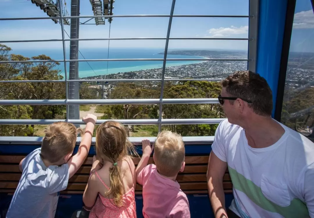 Arthurs Seat Eagle Gondola Ticket on the Mornington Peninsula