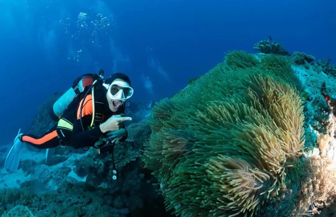 澎湖潛水: 興仁潛水 Fun Dive 休閒潛水・PADI潛水員課程