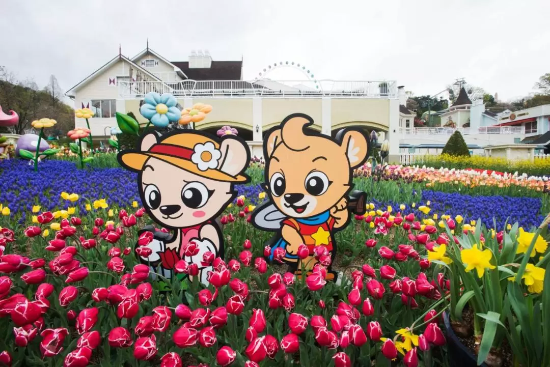 Round Trip Shuttle Bus Transfers to Everland from Seoul by JINA International Travel